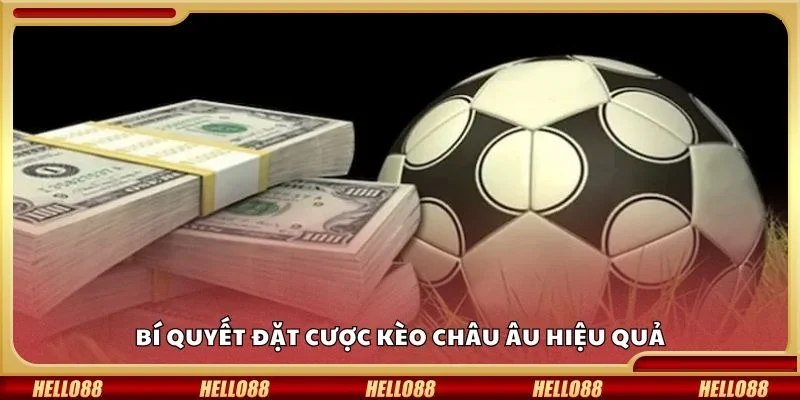 Bí quyết đặt cược kèo châu âu hiệu quả