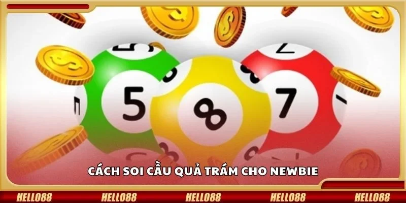 Cách soi cầu quả trám cho newbie