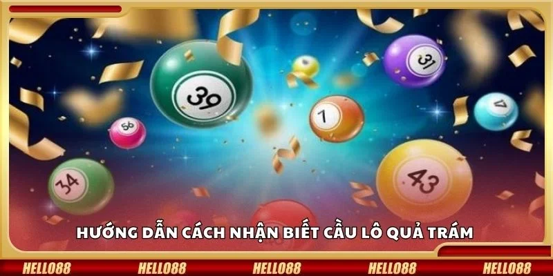 Hướng dẫn cách nhận biết cầu lô quả trám