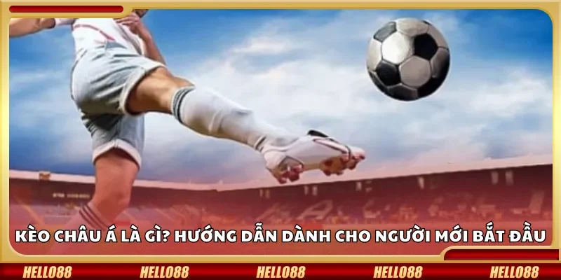 Kèo Châu Á là gì? Hướng dẫn dành cho người mới bắt đầu