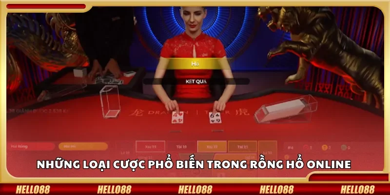 Những loại cược phổ biến trong Rồng Hổ online